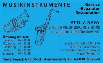 Musikinstrumenten-Service. Instrumenten Reparatur in Vorarlberg, durgeführt mit fachkundiger Hand.